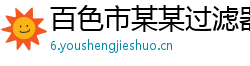百色市某某过滤器制造维修站